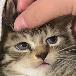 Meet your Posher, Marco